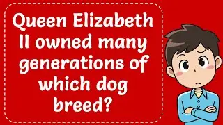 Queen Elizabeth II owned many generations of which dog breed? Explained