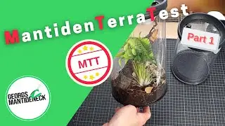 MantidenTerraTest (MTT): Zylinderplastikterras im Test
