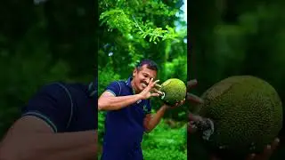 natural chewing gum