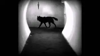 SCP 023 [German/Deutsch]