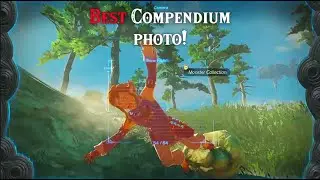 Link's Compendium Adventure! | Zelda TOTK