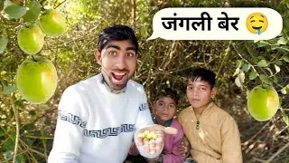 जंगल में बेर तोड़ते बच्चे 😍 | गाँव की मस्ती | Desi Village Vlog | Jaiveer Vlogs 