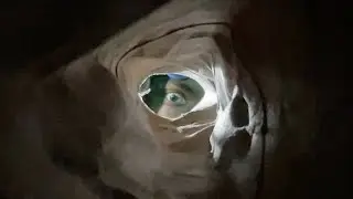 ASMR в 