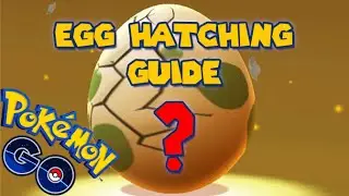 Egg Hatching Guide (POKEMON GO)