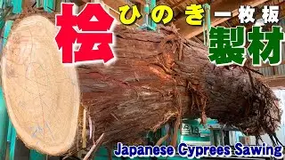 【曲線の原木】ヒノキ原木を製材【木の店さんもく】Japanese Cyprees Sawing