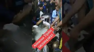 Aissaoua Tijditt 
