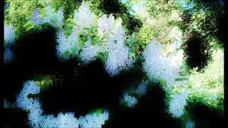 Моя сетевая галерея 13 (My network gallery 13)
