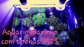 Aquario marinho com apenas 350 reais