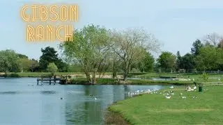 A Calm and Beautiful Ranch... Gibson Ranch Sacramento, CA