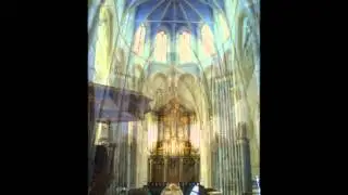 My trip to the Netherlands, Groningen - J.S.Bach Fugue in D major