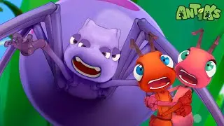 Joey and Boo's Worst Party Ever! | Antiks 🐜 | Funny Cartoons for Kids