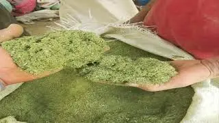 علاج الاسهال عند النعام والطيور بشكل عام ب 18 جنيه و ف يومين بس