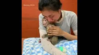 Come back home mommy was crying because seeing baby ROJO was sick and having a bad feeling