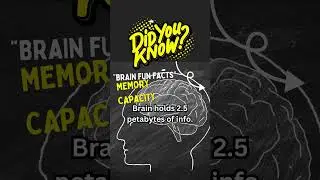 Incredible Memory Capacity of the Human Brain🧠|#brainfacts #brainfunctions #science #shorts