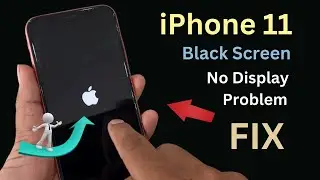 iPhone 11 No Display Blank Screen Fix! Display Black No image Fix