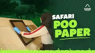 SAFARI POO PAPER