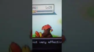 How to get polywrath in pokemon fire red