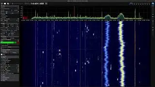 Pips on the 19 meter band (HF Shortwave Radio)