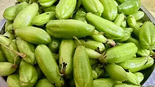 ត្រឡឹងទឹង ។ Troleung Teung (Bilimbi)