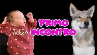 Lorenzo incontra Ginevra * che emozione * 🥰