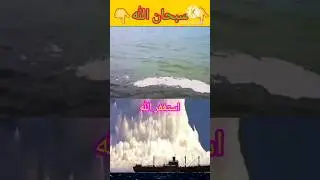 miracle of Allah 😭😭👈|| #miracle #miracles #miracle_of_allah #miracleprayer #miraclesofallah