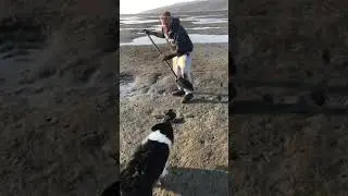 Clamming Lawson&rsquo;s landing