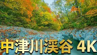 紅葉の中津川渓谷【4K】ネイチャー癒し動画＜Nakatsugawa Gorge / Nature Relax Video＞【西川寛】日本舞踊チャンネル