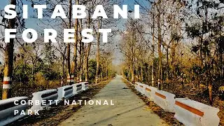 Sitabani forest | Corbett National Park | sitabani rest house | mesuem |