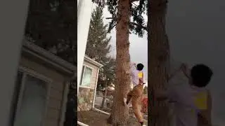 Run and Jump Challenge on tiktok 🤩 Knife in the tree