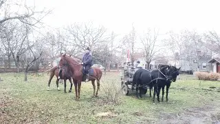 Badnji Dan u Ruskom Selu 2022