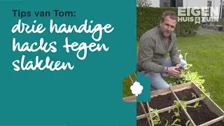 Tips van Tom: 3 tips tegen slakken!