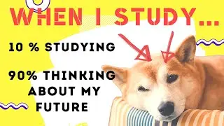 🅻🅾🅵🅸 Music for studying💖 𝙛𝙤𝙧 𝙎𝙝𝙞𝙗𝙖 𝙡𝙤𝙫𝙚𝙧 𝙤𝙣𝙡𝙮!!!