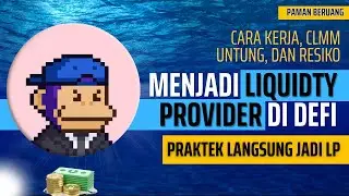 Menjadi Liquidity Provider di DeFi: Cara Kerja, CLMM, Untung, Risiko, & Praktek Langsung!