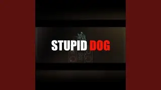 Stupid Dog