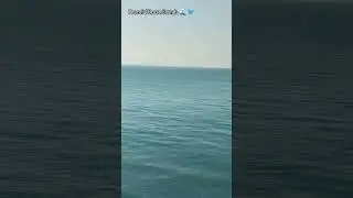 Peaceful Ocean Waves with Birds Sound 🌊🐦 #Shorts. #trendingreels #viralreels #newreel #instareels