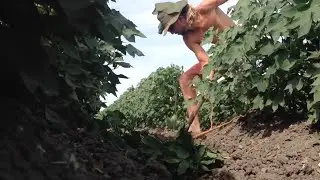 Australias Toughest Backpacking Job? | Cotton Irrigation