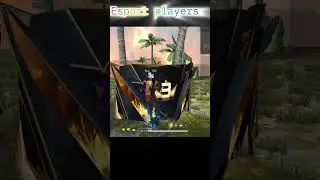 #petshut