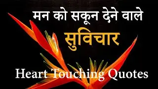 प्रेरणादायक अनमोल वचन | मन को शांति देने वाले सुविचार | motivational video |  motivational quotes