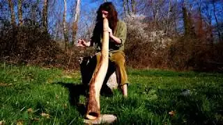 Bijaman - didgeridoo session 01