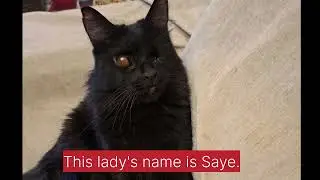 We Rescued Saye(Shadow) | A Short Rescue Story