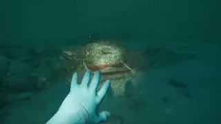 Still Wakes the Deep DLC Siren's Rest