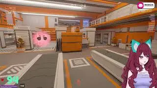 LIVE STREAM