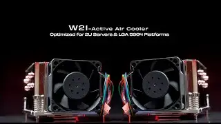 Dynatron W21 &ndash; 2U Active Air Cooler.