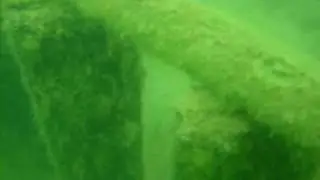 Nurkowanie w 'Pacyfiku
