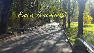 Mihaela Mihai - Ecou de romanţă.
