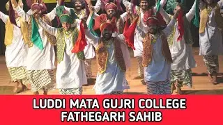 LUDDI  || Mata Gujri College Fatehgarh Sahib || Youth Festival 2021