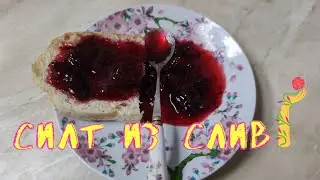 Силт (sylt) из cлив.