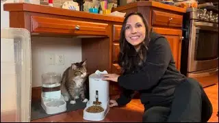 HONEST REVIEW - Petmagic - easy way to feed your pets!