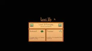 Выбор профессии добытчика на 10-м уровне &mdash; Stardew Valley