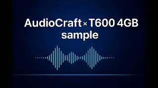 AudioCraft Soul 2